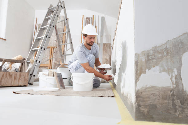 Best Black Mold Removal  in Tyro, NC