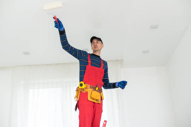 Best Emergency Mold Remediation  in Tyro, NC