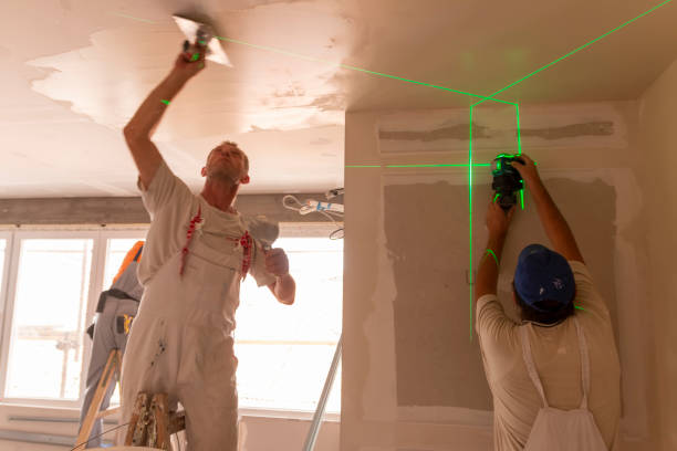 Best Residential Mold Inspection & Testing  in Tyro, NC