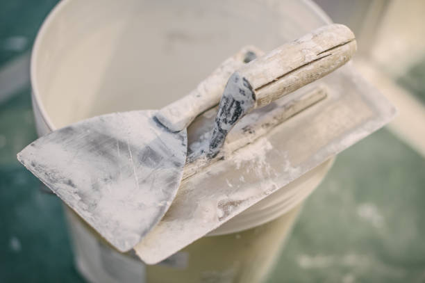 Best Biohazard Mold Removal  in Tyro, NC
